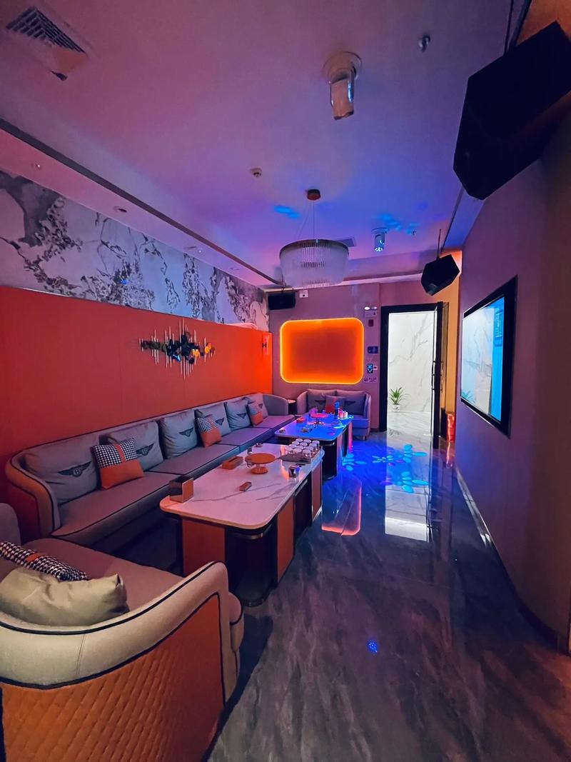 攀枝花商务ktv优质场所推荐商务ktv选择指南-仁和区ktv预定